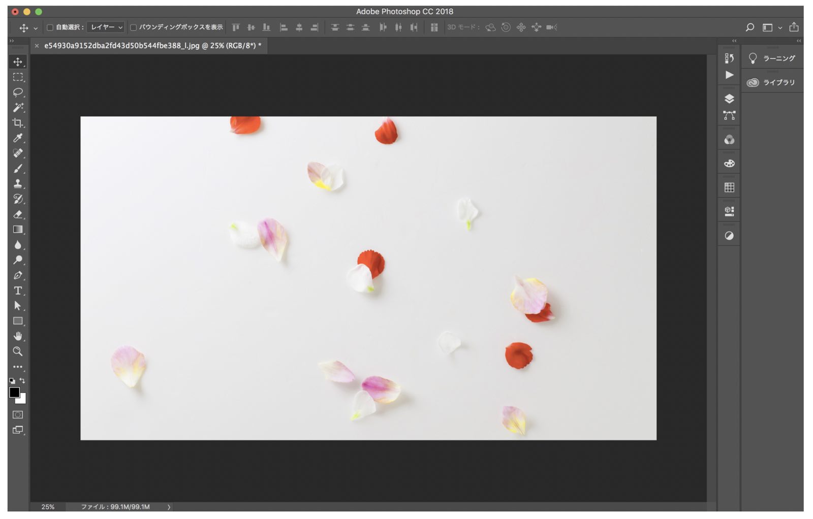 Photoshopのコピースタンプツールの使い方と不要物を消す方法