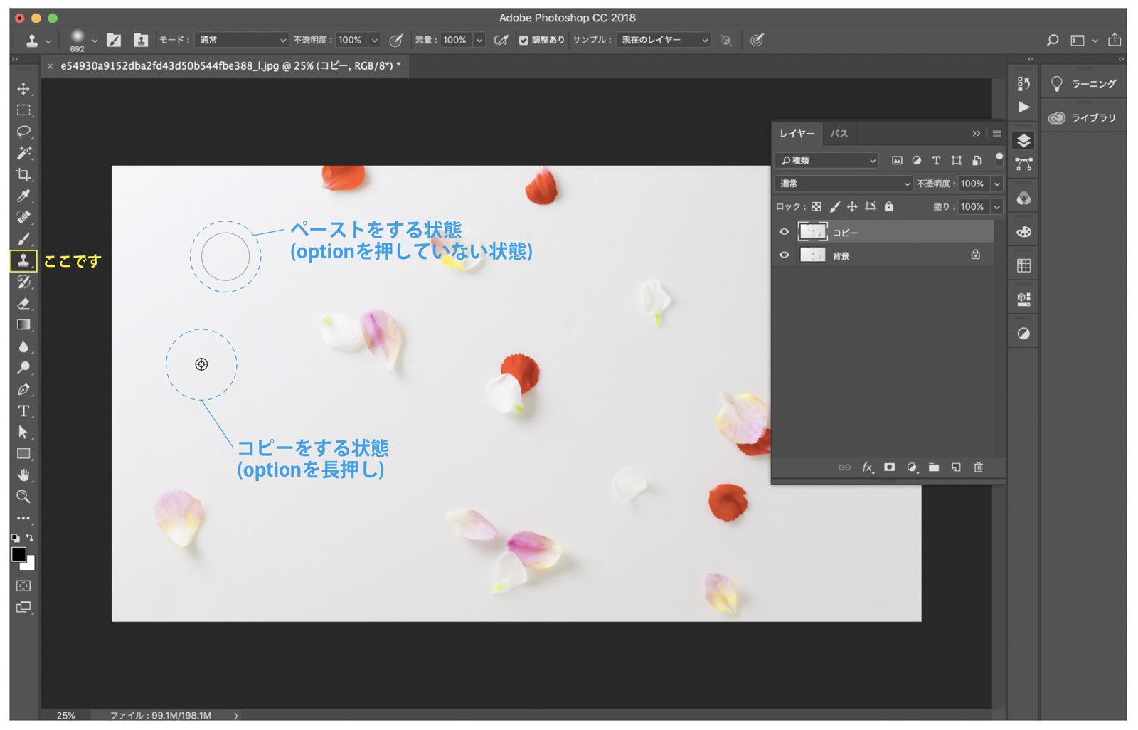 Photoshopのコピースタンプツールの使い方と不要物を消す方法