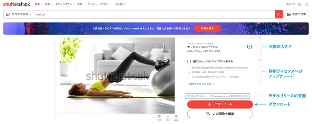 Shutterstock シャッターストック の料金や登録方法から使い方までを解説 Stay Gold
